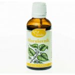 Serafin Morušovník tinktura z pupenů 50 ml – Hledejceny.cz