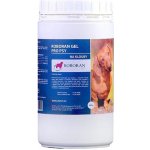 Univit Roboran Chondro pro psy plv 400 g – Hledejceny.cz