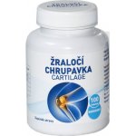 Olimpex Žraločí chrupavka Cartilage 100 tablet – Hledejceny.cz