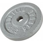 Gorilla Sports litina 2 x 1 kg 30/31 mm – Hledejceny.cz