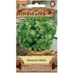 Semínka MoravoSeed Bazalka pravá zelená 71702 – Zboží Dáma