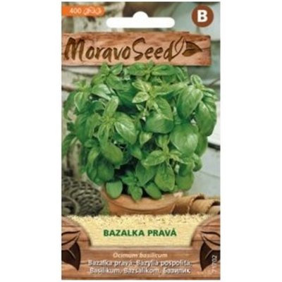 Semínka MoravoSeed Bazalka pravá zelená 71702 – Zboží Dáma