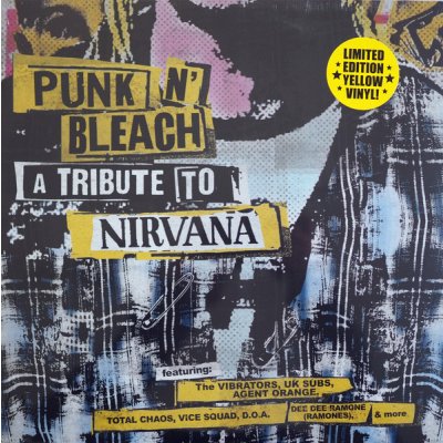 Various Artists - Punk N' Bleach A Punk Tribute To Nirvana LP – Zbozi.Blesk.cz