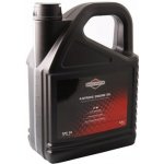 Briggs & Stratton SAE 30 5 l – Sleviste.cz