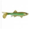 Návnada a nástraha Berkley PWRBT Sick Fish Ghost Minnow 10cm