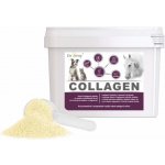 Dromy Collagen 2,5 kg – Zboží Dáma