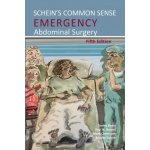 Schein's Common Sense Emergency Abdominal Surgery – Hledejceny.cz