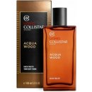 Parfém Collistar Acqua Wood Toaletní voda pánská 100 ml