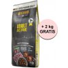 Granule pro psy Belcando Adult Dog Active 14,5 kg