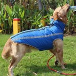 Surtep Animals Zimní bunda voděodolná Paw – Sleviste.cz