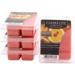 Candle-Lite vonný vosk Sunlit Mandarin Berry 56 g – Hledejceny.cz