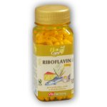 Vitaharmony Riboflavin Vitamin B2 10 mg 320 tablet – Hledejceny.cz