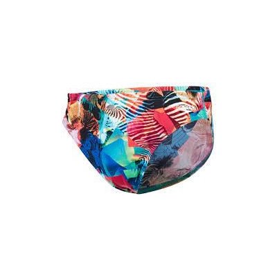 Speedo ALV 5CM BRF TM Plavky chlapecké slipové – Hledejceny.cz