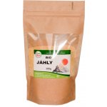 Sunfood Jáhly BIO dovoz 300 g – Hledejceny.cz