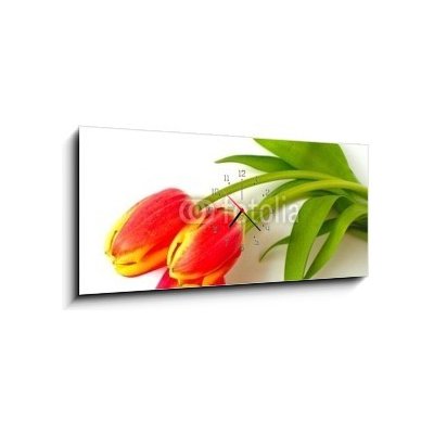 Obraz s hodinami 1D panorama - 120 x 50 cm - tulpen - tulips tulipán – Zboží Mobilmania