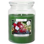 Nohel Garden ZIMNÍ STROMEK 500 g – Sleviste.cz