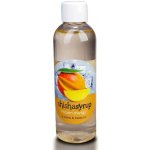 ShishaSyrup Melasa Ledové mango 100 ml – Hledejceny.cz