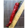 Osivo a semínko Cayenne Pepper Thick 18-CA6-4-3 (chilli semena) 1 ks