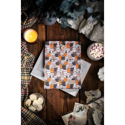 Látkový obal na knihy booksleeve Kočky oranžové – Zbozi.Blesk.cz