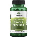 Swanson Coleus Forskohlii ForskolinAfrická Kopřiva 400 mg 60 kapslí – Hledejceny.cz