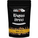 WormUP Křupaví červíci s kari 80 g – Zboží Dáma