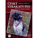 Český strakatý pes