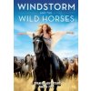 DVD film Windstorm and The Wild Horses DVD