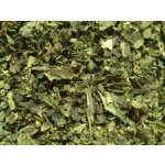 Bylinná lékárna Kopřiva dvoudomá list Urtica dioica 1 kg – Sleviste.cz