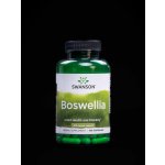 Swanson Boswellia 400 mg 100 kapslí – Hledejceny.cz