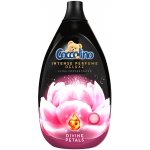 Coccolino Deluxe Divine Petals 870 ml – HobbyKompas.cz