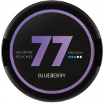 77 Pouches Blueberry 20 mg 20 sáčků – Zboží Dáma 77 Pouches Blueberry 20 mg 20 sáčků – Zboží Dáma