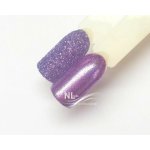 NL nails professional GLITTER POWDER – Hledejceny.cz