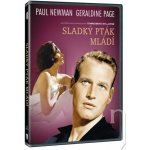 Sladký pták mládí DVD – Zboží Mobilmania