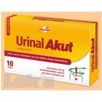 Walmark Idelyn Urinal Akut 10 tablet – Zbozi.Blesk.cz