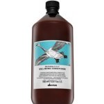 Davines NATURALTECH Well-Being hydratační kondicionér 1000 ml – Zboží Dáma
