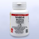 Sinecura Hřebíček diangxiang prášek 20 g – Hledejceny.cz