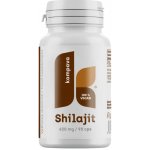 Kompava Shilajit 620 mg, 90 kapslí – Hledejceny.cz