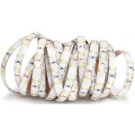 ECOLIGHT EC79650 – Zboží Dáma