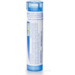 TEUCRIUM MARUM POR 9CH GRA 1X4G – Hledejceny.cz