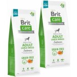 Brit Care Grain Free Adult Large Breed Salmon 2 x 12 kg – Hledejceny.cz