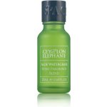 Spa Ceylon Směs Esenciálních Olejů ALOE WATERGRASS 20 ml – Hledejceny.cz