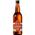 Radegast rázná 10° 20 x 0,5 l (sklo) – Zboží Dáma