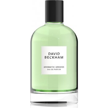 David Beckham Aromatic Greens parfémovaná voda pánská 100 ml