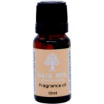 Gaia Spa vonný olej JABLKO A SKOŘICE Apple & Cinnamon 10 ml – Hledejceny.cz