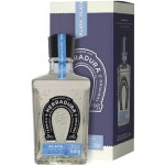 Herradura TEQUILA BLANCO 40% 0,7 l (karton) – Zboží Dáma