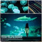 Bring Me The Horizon - Count Your Blessings CD – Zboží Mobilmania