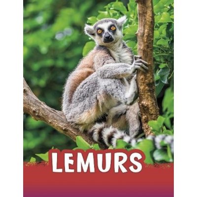 Lemurs – Hledejceny.cz