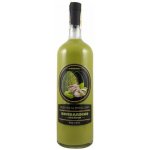 Bertagnolli Bombardino Premium pistacchio 17% 1 l (holá láhev) – Zboží Dáma