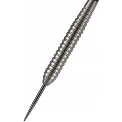 TARGET steel POWER SILVERLIGHT 24g Phil Taylor BRASS – Sleviste.cz