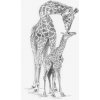 Malování podle čísla Royal Langnickel Malování SKICOVACÍMI TUŽKAMI Žirafa s mládětem